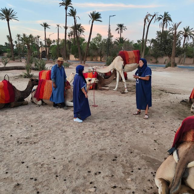 Marrakech camel ride in the palm grove - Photo moments that do not feel forced