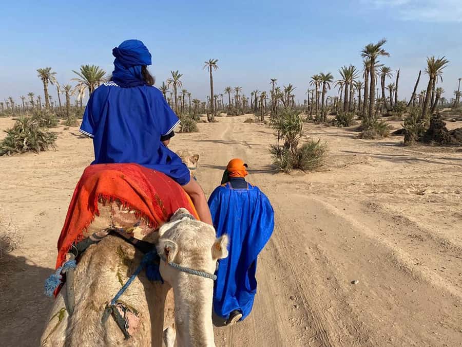 Marrakech Camel Ride in the Palmeraie Palm Grove - Camel ride value in Marrakech’s Palmeraie
