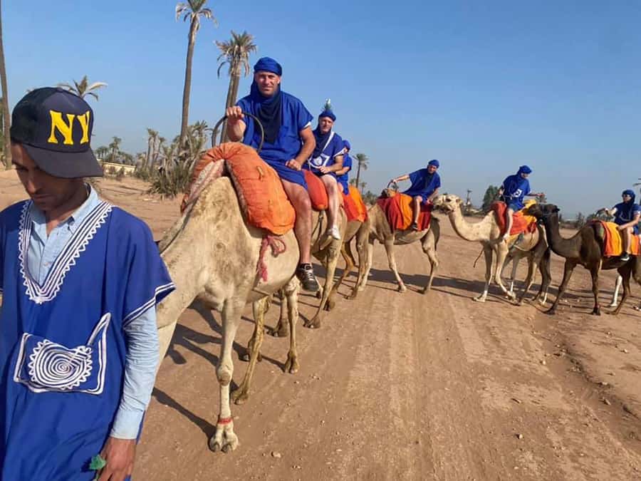 Marrakech Camel Ride in the Palmeraie Palm Grove - Getting picked up, meeting the camels, and keeping it easy