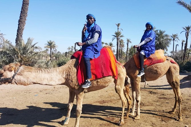 Marrakech Camel ride & Quad Bike experience in the oasis Palmeraie - Timing options: morning vs afternoon choices