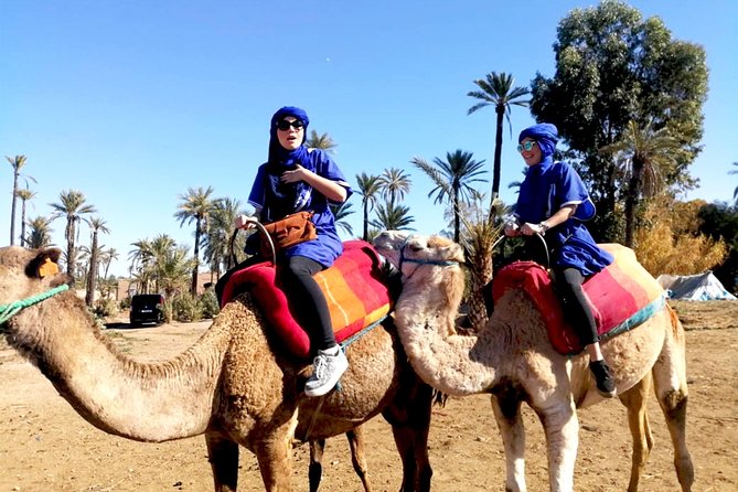 Marrakech Camel ride & Quad Bike experience in the oasis Palmeraie - Group size and what it feels like on the ground