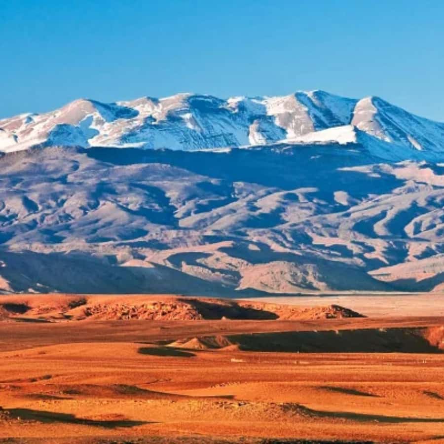 Marrakech: Camel Ride & Sunset Dinner with Fire Show - Who This Tour Is Best For