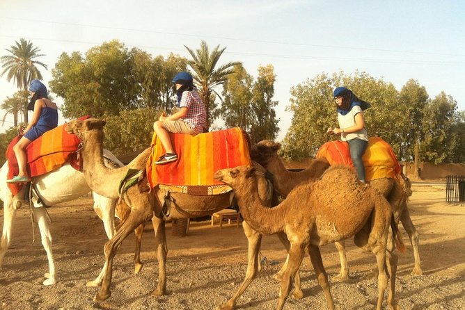 Marrakech Camel Ride Tour - Key highlights I’d plan around