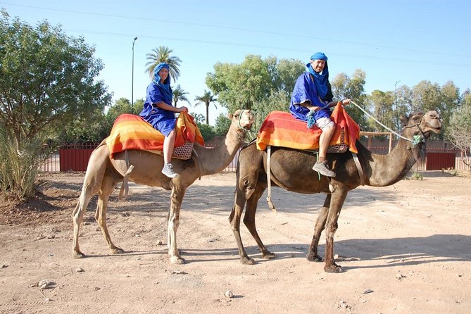 Marrakech Camel Ride Tour - From your hotel to La Palmeraie, with less hassle