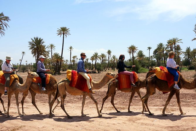 Marrakech Camel Ride Tour - Berber village mint tea, and why this stop matters