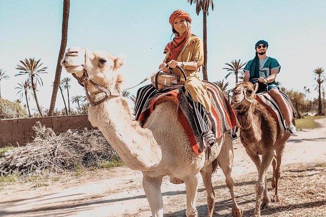 Marrakech Camel Ride Tour - Price and value: is $25.54 a fair deal?