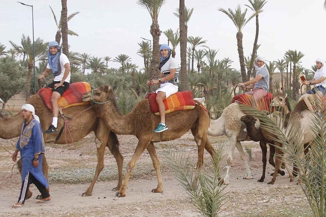 Marrakech Camel Ride Tour - Who this Marrakech camel ride suits best