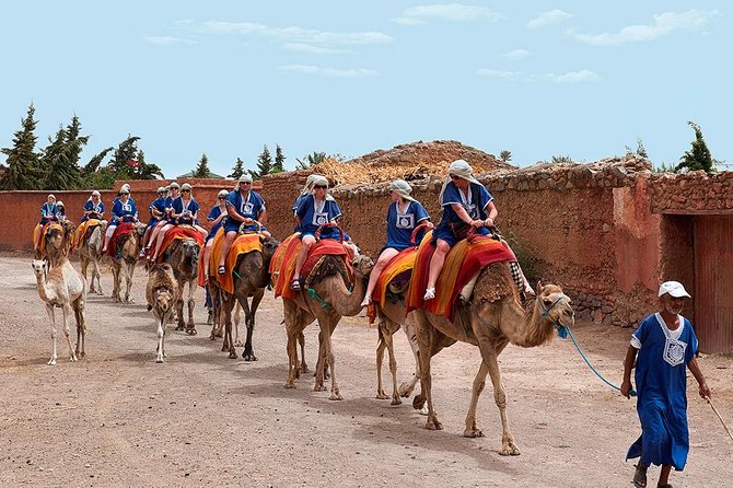 Marrakech Camel Ride Tour - Camel chat, quick costume flair, and getting comfortable fast