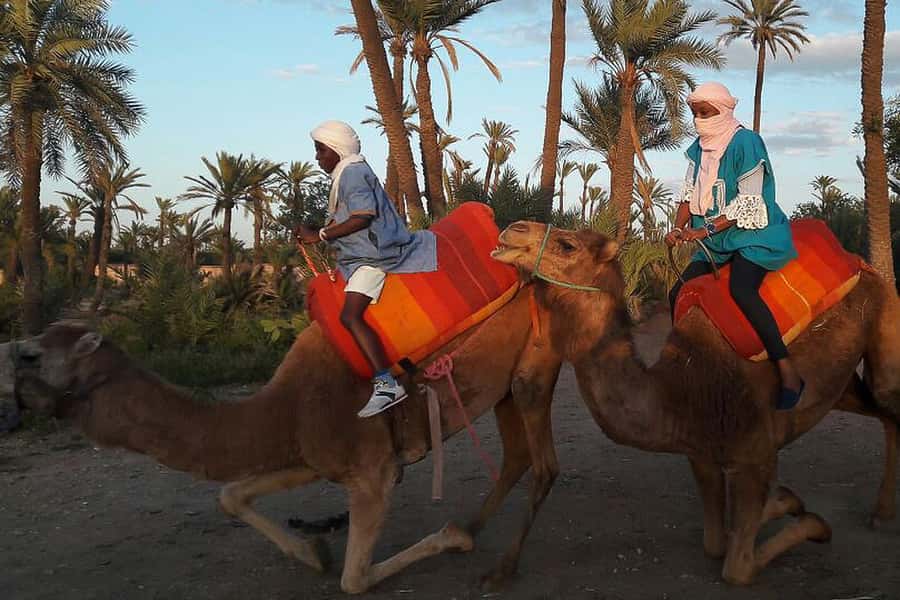 Marrakech: Camel Trek - Why a 90-Minute Camel Trek Works in Marrakech