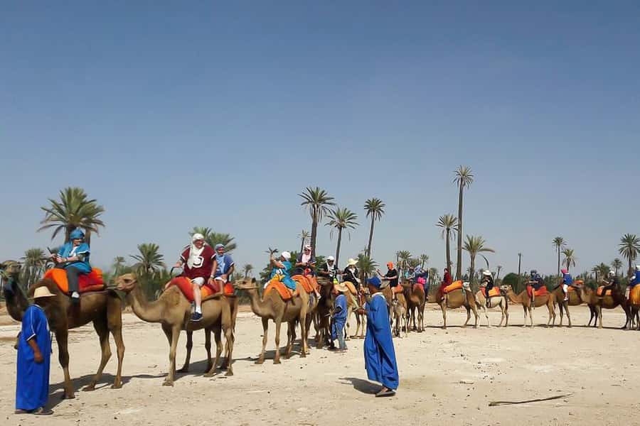 Marrakech: Camel Trek - The Camel Experience: Berber-Inspired Outfit and Riding Tips