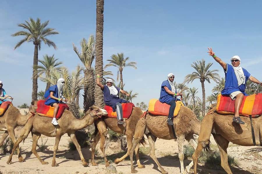 Marrakech: Camel Trek - Who This Camel Trek Suits, and Who Should Skip It