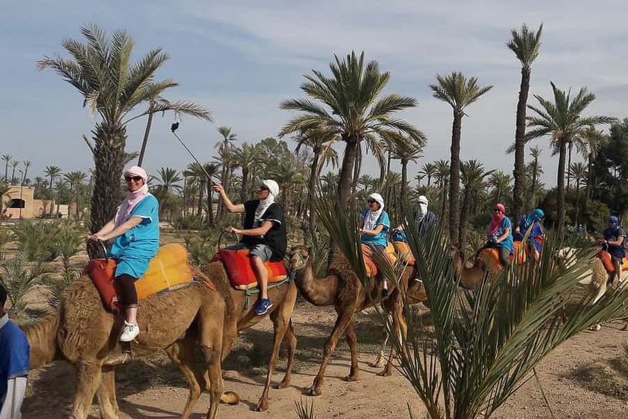 Marrakech: Camel Trek - Getting to the Palmeraie: Pickup, Riads, and Where the Ride Starts