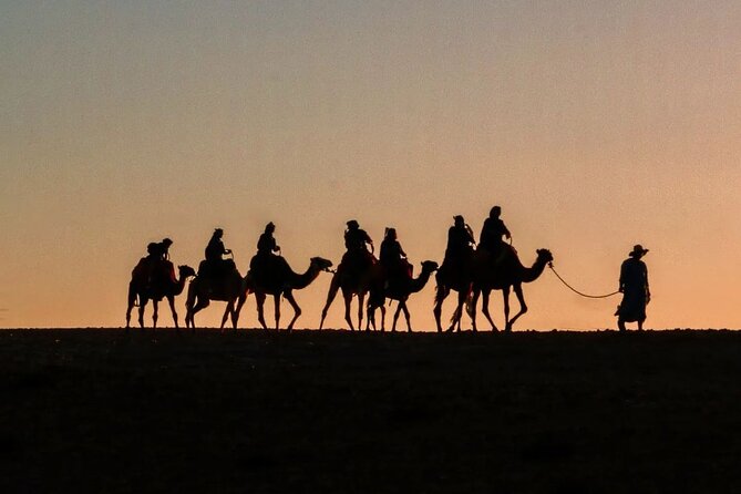Marrakech: Camels & Quads on Sunset and Luxury Dinner with Show - Key things I think are worth your attention