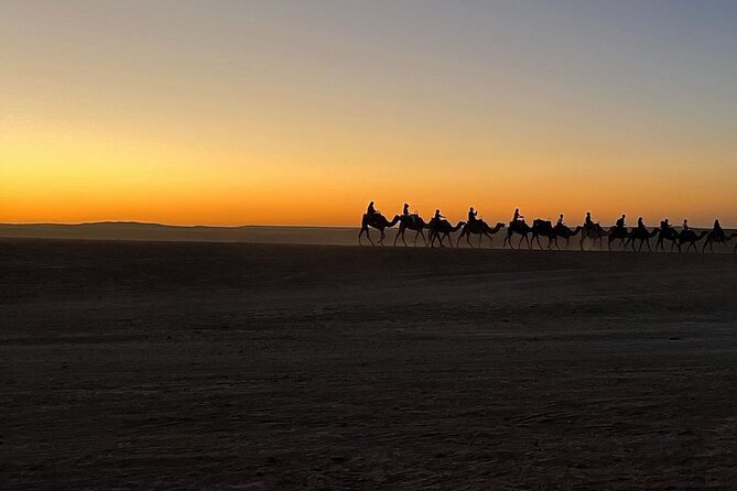 Marrakech: Camels & Quads on Sunset and Luxury Dinner with Show - Price and value: why this can feel like a deal at $28.97