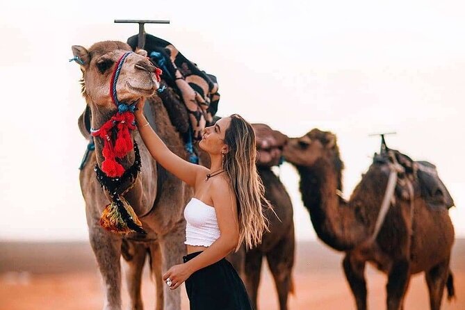 Marrakech: Camels & Quads on Sunset with Luxury Dinner, Fireshow - Key Points Before You Go