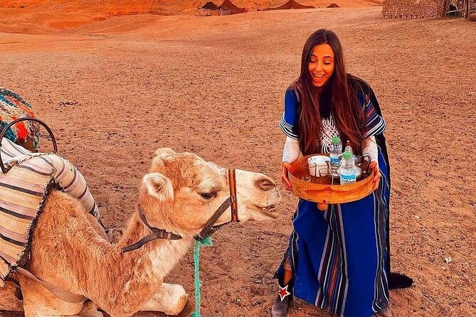 Marrakech: Camels & Quads on Sunset with Luxury Dinner, Fireshow - Camel Sunset Trek: What You Actually Do, Plus the Berber Outfit
