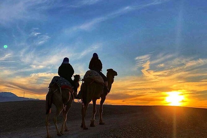 Marrakech: Camels & Quads on Sunset with Luxury Dinner, Fireshow - Getting Oriented: Berber Co-Op Tea Before the Camel Ride