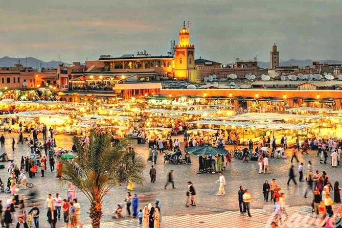 Marrakech City Highlights Half Day Private Tour - Price and value: what $29.04 really means when tickets are extra