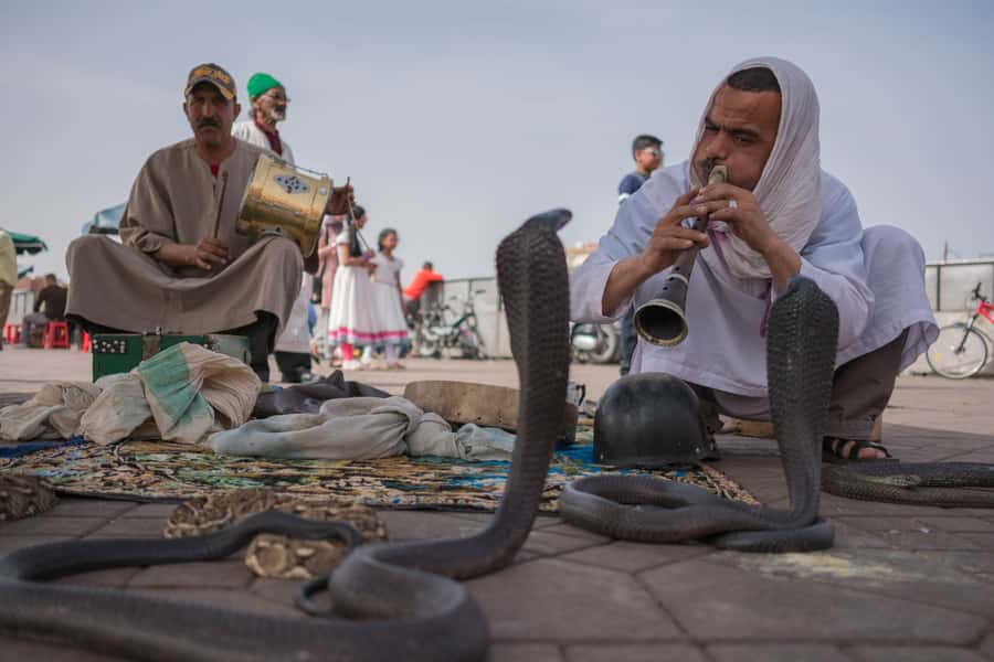 Marrakech: Customized Guided Walking Tour - Key things to know before you go