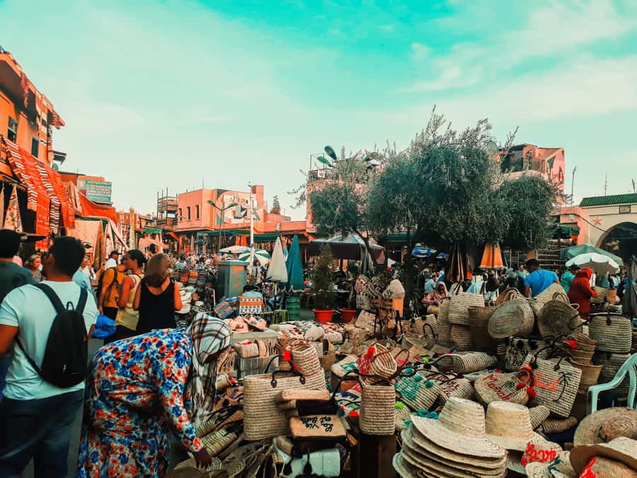 Marrakech: Customized Guided Walking Tour - Menara Gardens: olive groves, reflecting pools, and a needed break