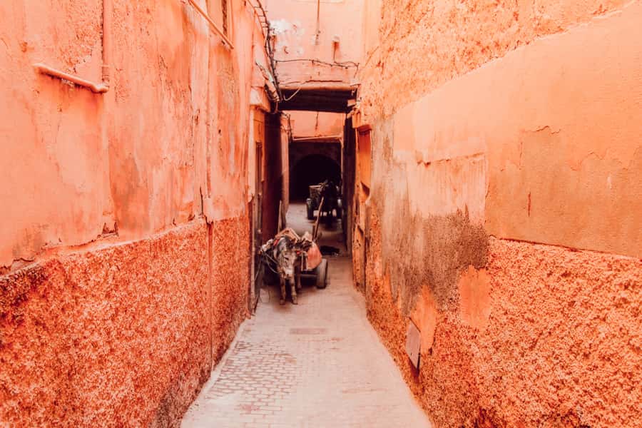 Marrakech: Customized Guided Walking Tour - Off-the-beaten-path neighborhoods and those rooftop pauses