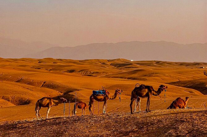 Marrakech Day Trip: Agafay Desert, Atlas Mountains and Camel Ride - Berber Hamlets and Village Visits: Tea, Conversation, and Real Daily Life