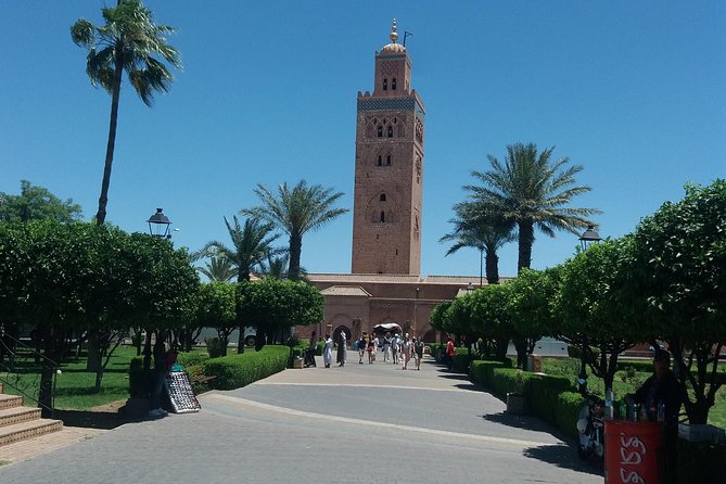 Marrakech day trip from Agadir & Taghazout - Jemaa el-Fnaa: street performances and how to use your free time