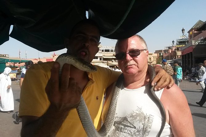 Marrakech day trip from Agadir & Taghazout - Bahia Palace: optional time, extra ticket cost