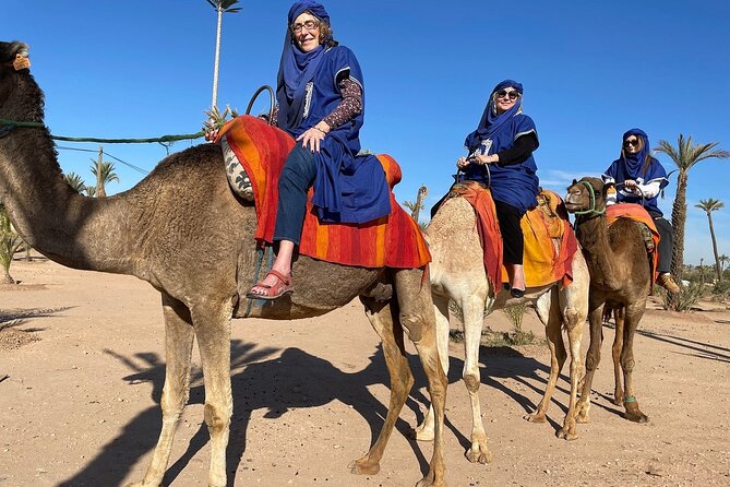 Marrakech day Trip from Casablanca with FREE Camel Ride - Mellah photo pause: quick context for a historic neighborhood