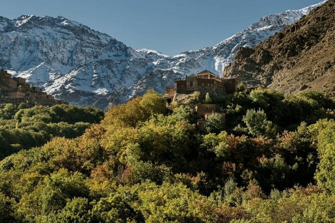 Marrakech: Day Trip to ourika valley & Atlas Mountains - Key Highlights Worth Your Time