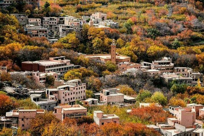 Marrakech: Day Trip to ourika valley & Atlas Mountains - A Berber Family Home, Tea, and Real Conversations