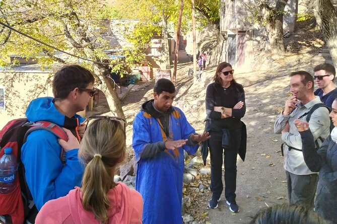Marrakech: Day Trip to ourika valley & Atlas Mountains - Setti Fatma Waterfalls Hike: Where the Day Gets Worth It
