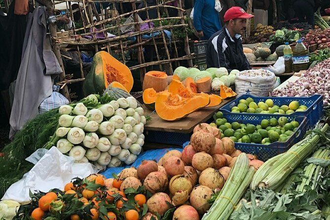 Marrakech: Day Trip to ourika valley & Atlas Mountains - Timing, Pickup, and What 8 to 9 Hours Really Means
