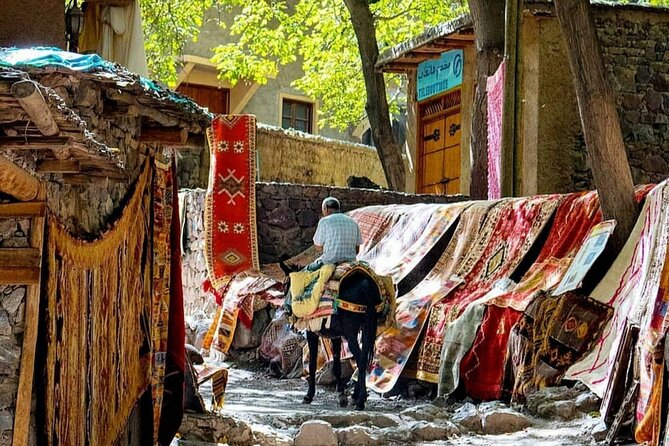 Marrakech: Day Trip to ourika valley & Atlas Mountains - What You Pay for: Value Around $20.94