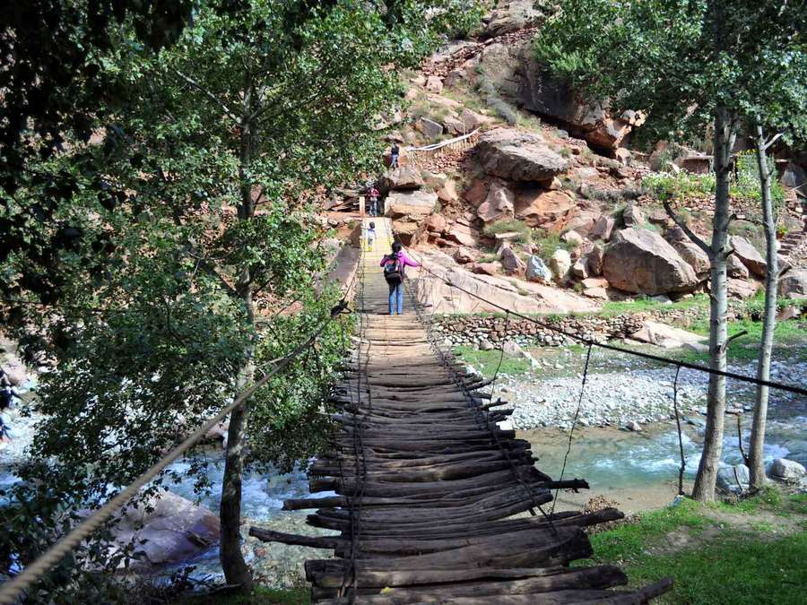Marrakech Day Trip to Ourika valley & Waterfalls - Quick hits you will feel on the day