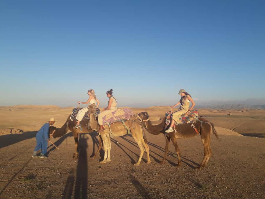 Marrakech Day Trip to Ourika valley & Waterfalls - Leaving Marrakech for the High Atlas, and why the drive matters