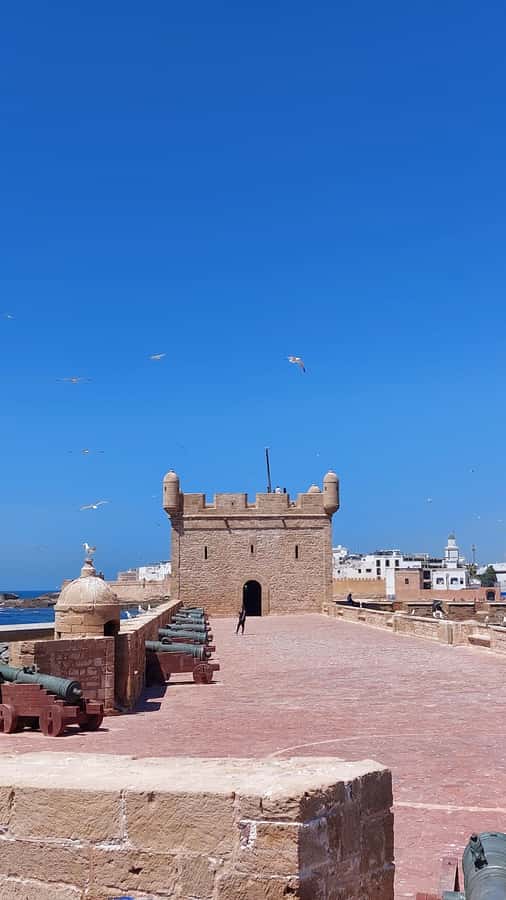 Marrakech: Day Trip to the Beautiful and Historic Essaouira - Seafood by the Port: A Lunch Break You Can Plan For