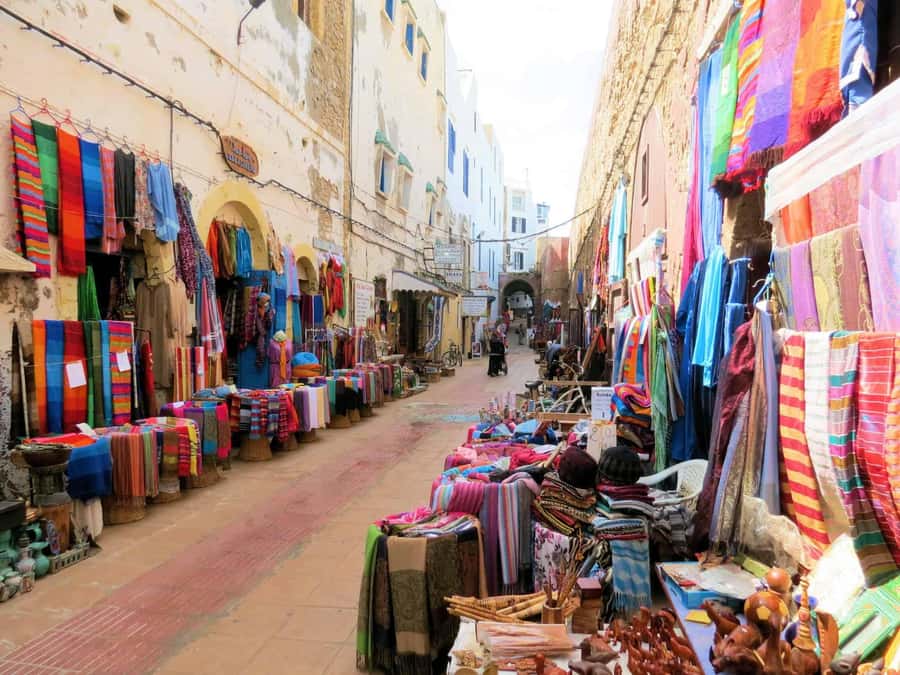Marrakech: Day Trip to the Beautiful and Historic Essaouira - Fishing Port and Blue Boats: Watching Work Up Close