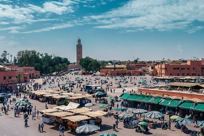 Marrakech Day Trip with Camel Ride from Casablanca - Jemaa el-Fnaa: The Main Stage, With Time to Look