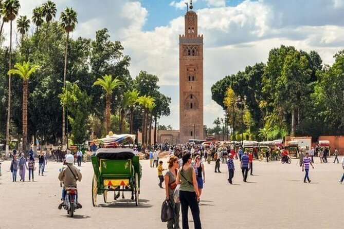 Marrakech Day Trip with Camel Ride from Casablanca - Pickup, Van Comfort, and the Real Time Budget