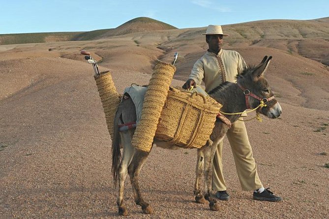 Marrakech: Desert Agafay & Atlas Mountains Day Trip & Camel Ride - Why Agafay Works When You Cannot Do the Sahara