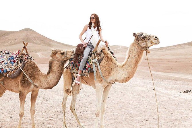 Marrakech: Desert Agafay & Atlas Mountains Day Trip & Camel Ride - Logistics That Matter: Timing, Walking, and Group Size