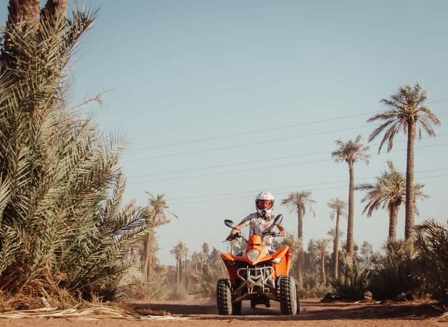 Marrakech: Desert and Palm Grove Quad Tour with Tea - Price and What You Actually Get for $22
