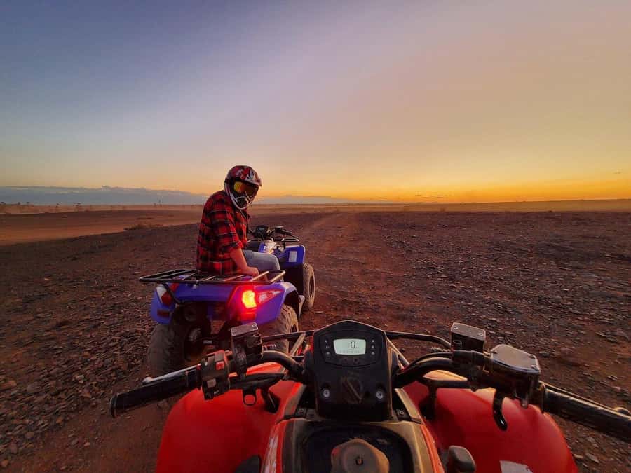 Marrakech: Desert and Palm Grove Sunset Quad Tour with Tea - Palm oases and sandy terrain: what your ride feels like