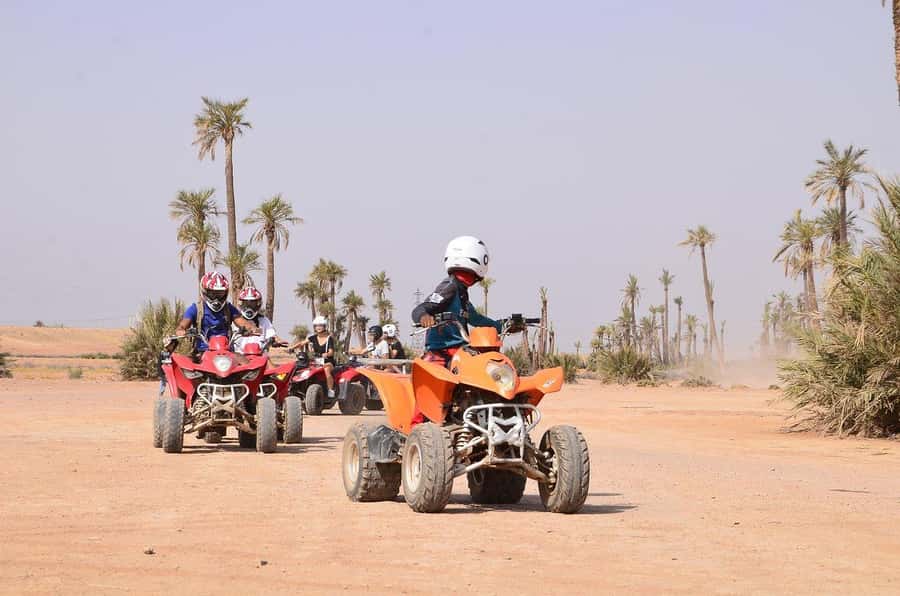 Marrakech: Desert and Palm Grove Sunset Quad Tour with Tea - Who this Marrakech sunset quad tour fits best