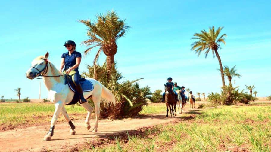 Marrakech: Desert and Palmeraie Horse Riding Tour & Transfer - Key things to know before you go