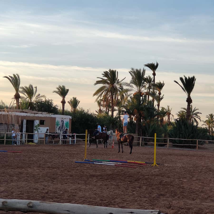 Marrakech: Desert and Palmeraie Horse Riding Tour & Transfer - What to wear and bring for comfort on the Palmeraie ride
