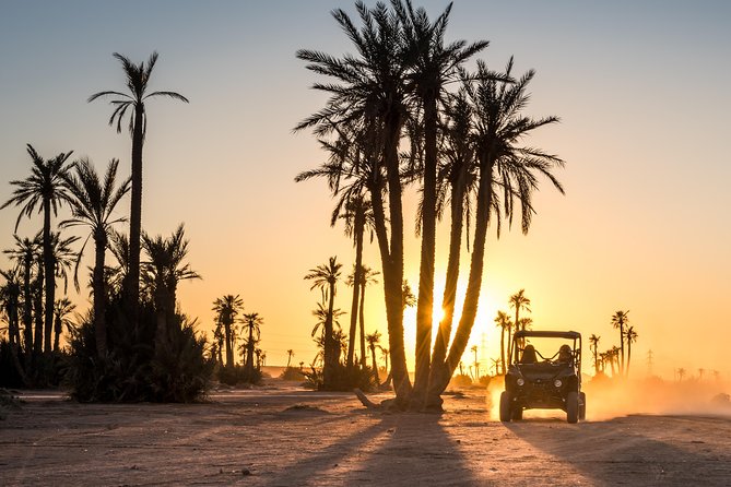 Marrakech Desert Buggy Tour Including Berber Tea Break and transfer - Key things that make this buggy tour worth your time