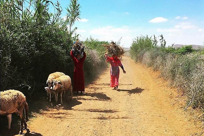 Marrakech Desert Buggy Tour Including Berber Tea Break and transfer - Stop 2: Agafay riding time through hills, riverbeds, and volcanic-feeling terrain