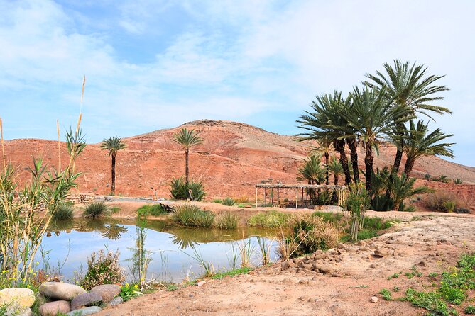 Marrakech Desert Buggy Tour Including Berber Tea Break and transfer - Berber tea break: mint tea, warm pancakes, and what to expect socially